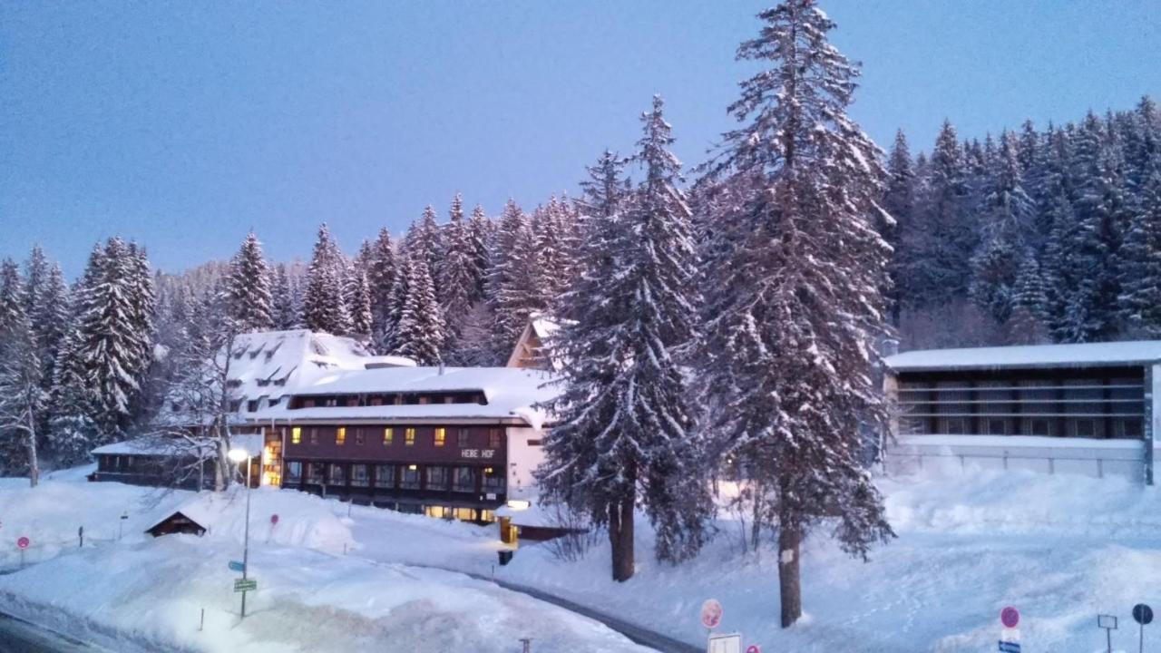 Residenz-Grafenmatt-Feldberg-Schwarzwald Lägenhet Feldberg  Exteriör bild