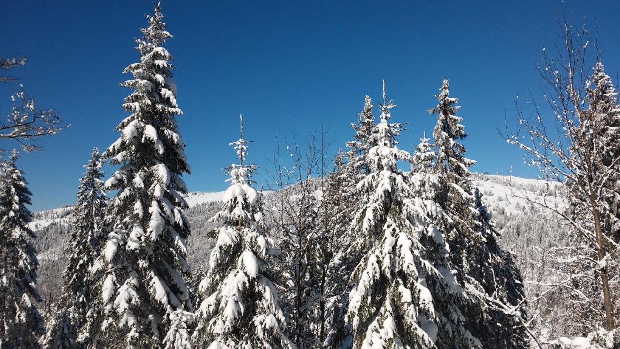 Residenz-Grafenmatt-Feldberg-Schwarzwald Lägenhet Feldberg  Exteriör bild